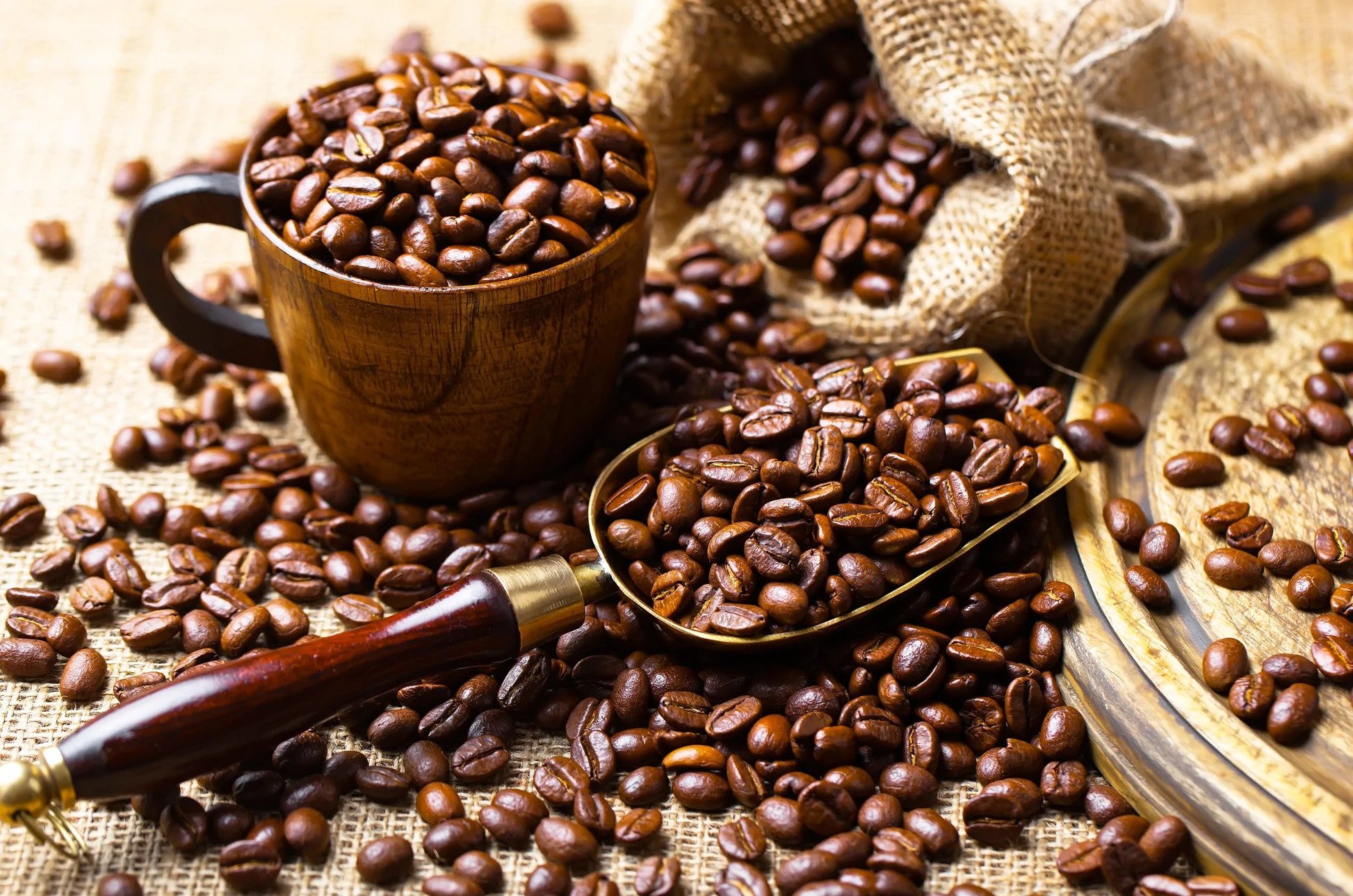 Menjelajahi Kekayaan Kopi Nusantara: Warisan Rasa dari Sabang sampai Merauke